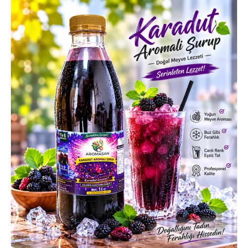 Karadut Buzlaş-slush 1e 5 konsatre şurup 1 lt ürün görseli